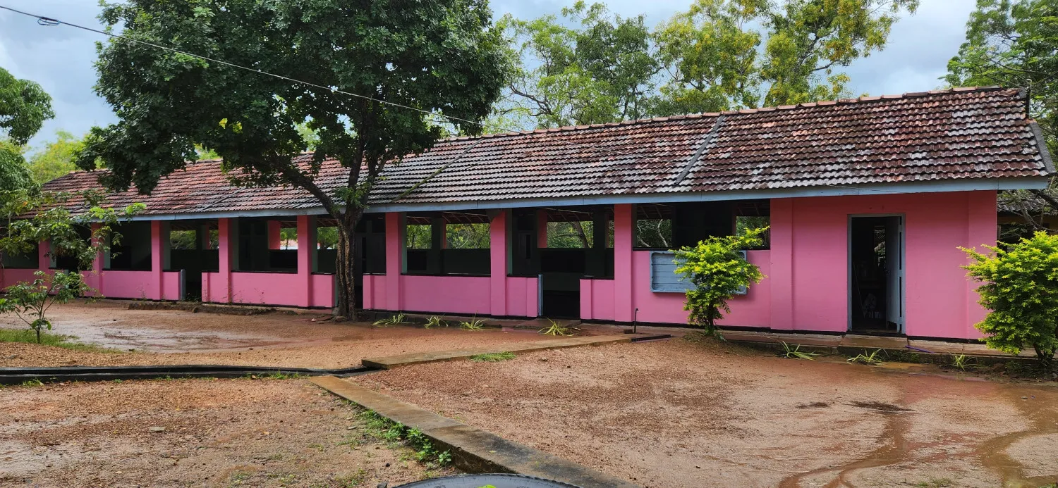 Karuwalagaswewa, D.S.Senanyake School painting Image